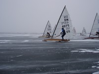 Port starters in Sunday, Gold Fleet